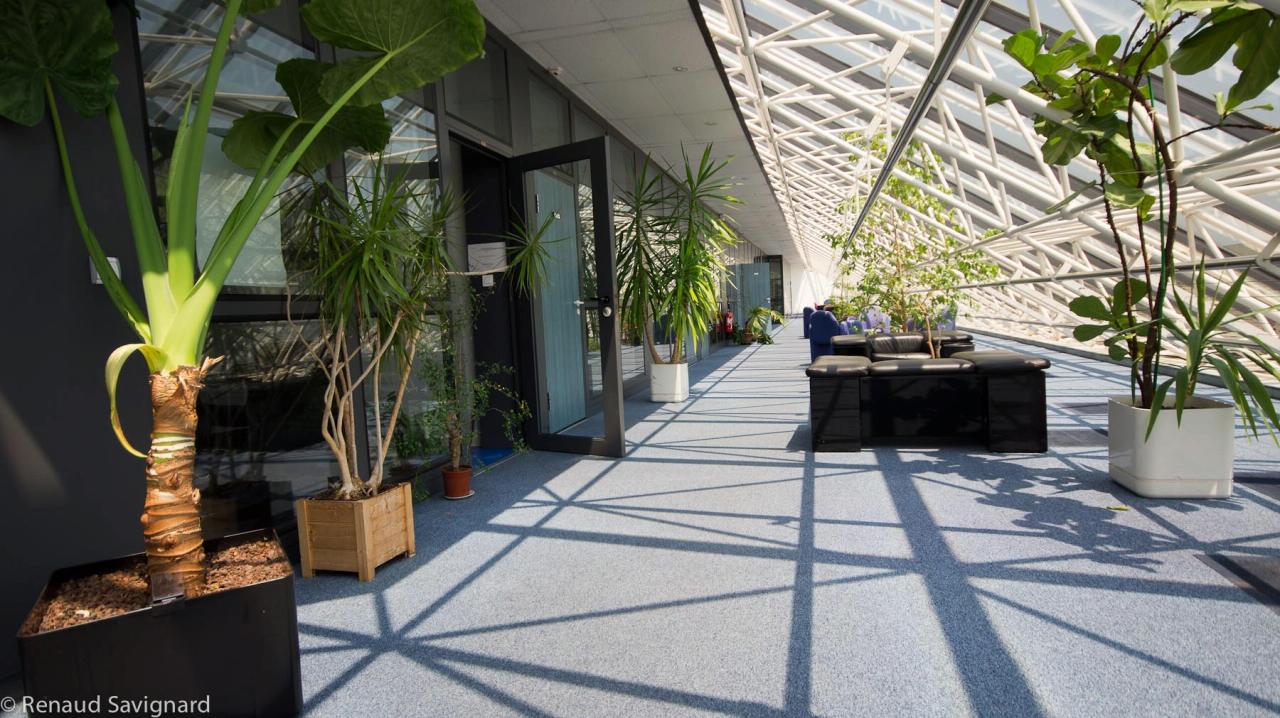 Bureau Sophia Antipolis 1108m² Location bureau Sophia Antipolis Alpes-Maritimes OLBUR2426858 10